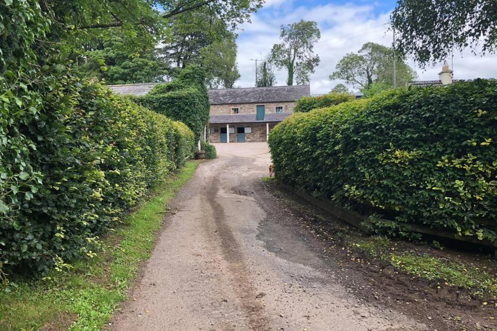 إيننيسكيلن Rhubarb Cottage المظهر الخارجي الصورة