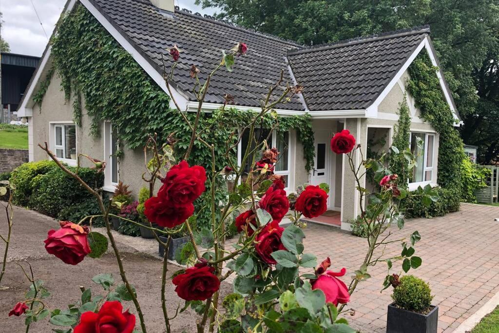إيننيسكيلن Rhubarb Cottage المظهر الخارجي الصورة