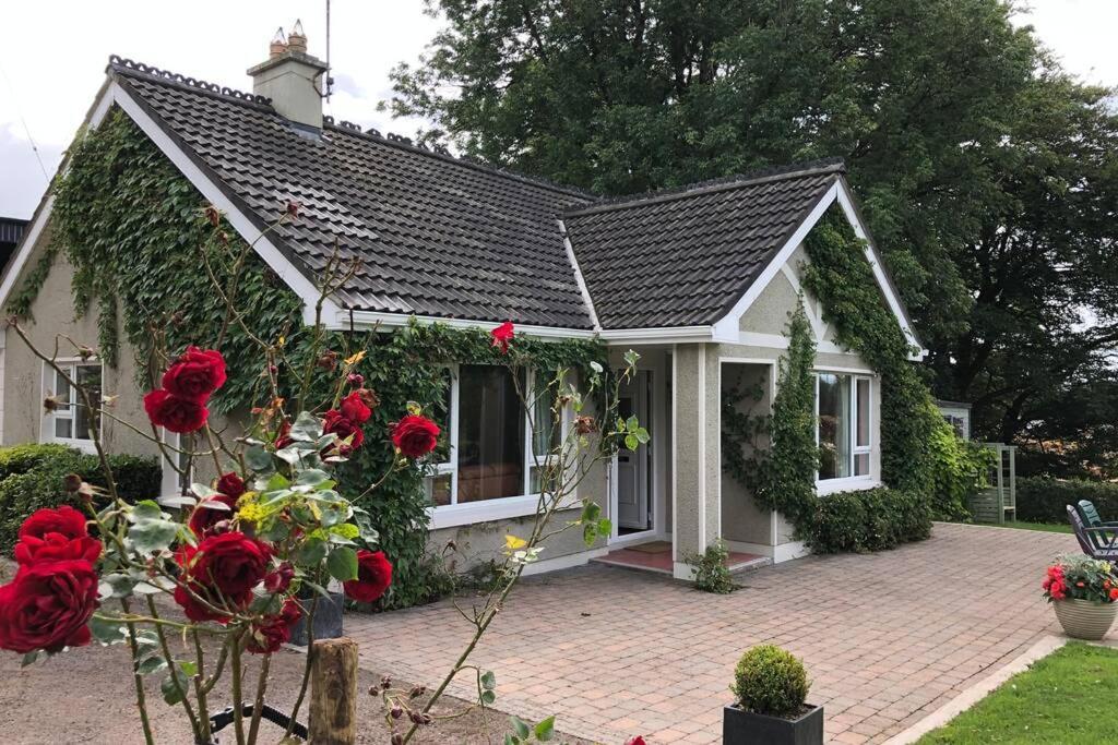 إيننيسكيلن Rhubarb Cottage المظهر الخارجي الصورة