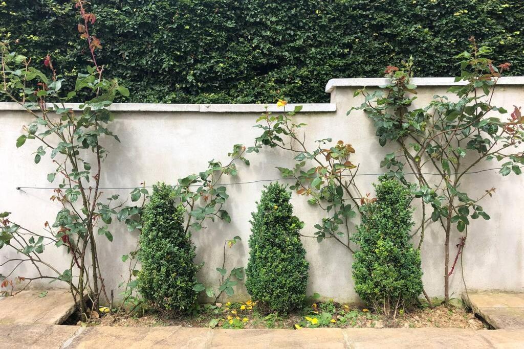 إيننيسكيلن Rhubarb Cottage المظهر الخارجي الصورة